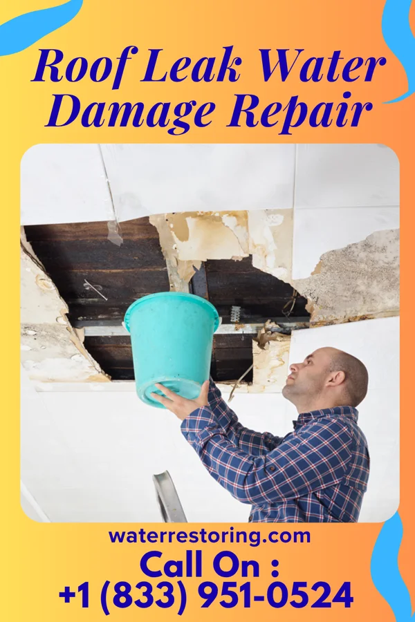 Roof Leak Water Damage Repair in Desoto Acres, FL